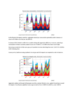 Graphs of natural gas consumption and imports.