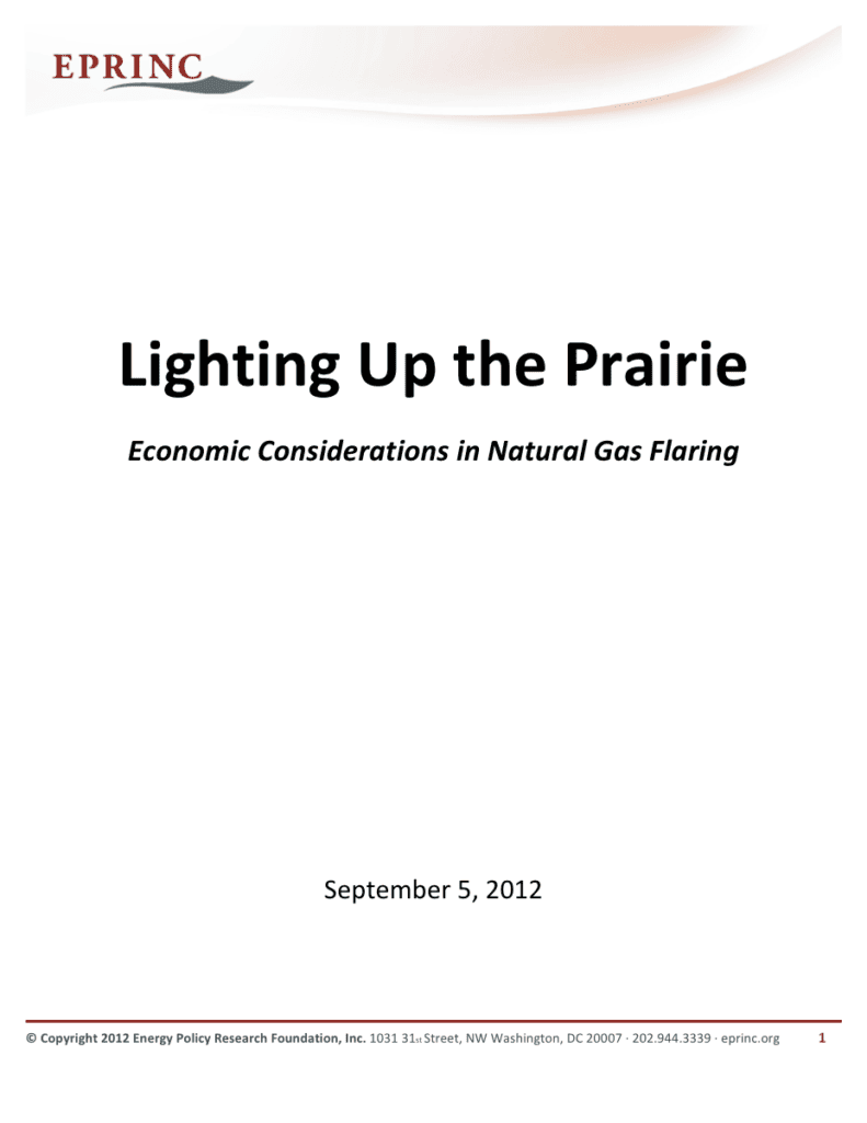 Report cover on natural gas flaring economics.